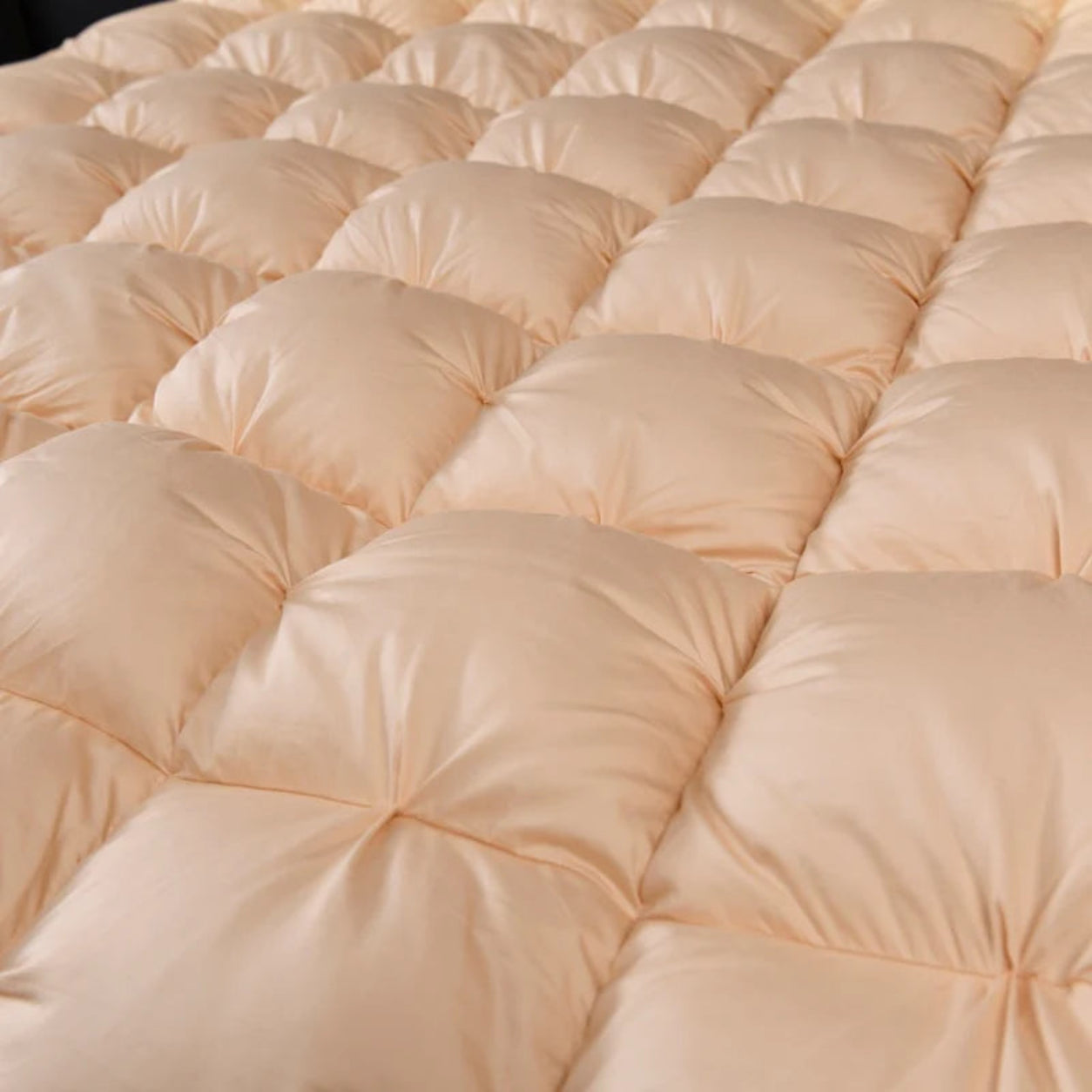 Goose Down Cotton Comforter