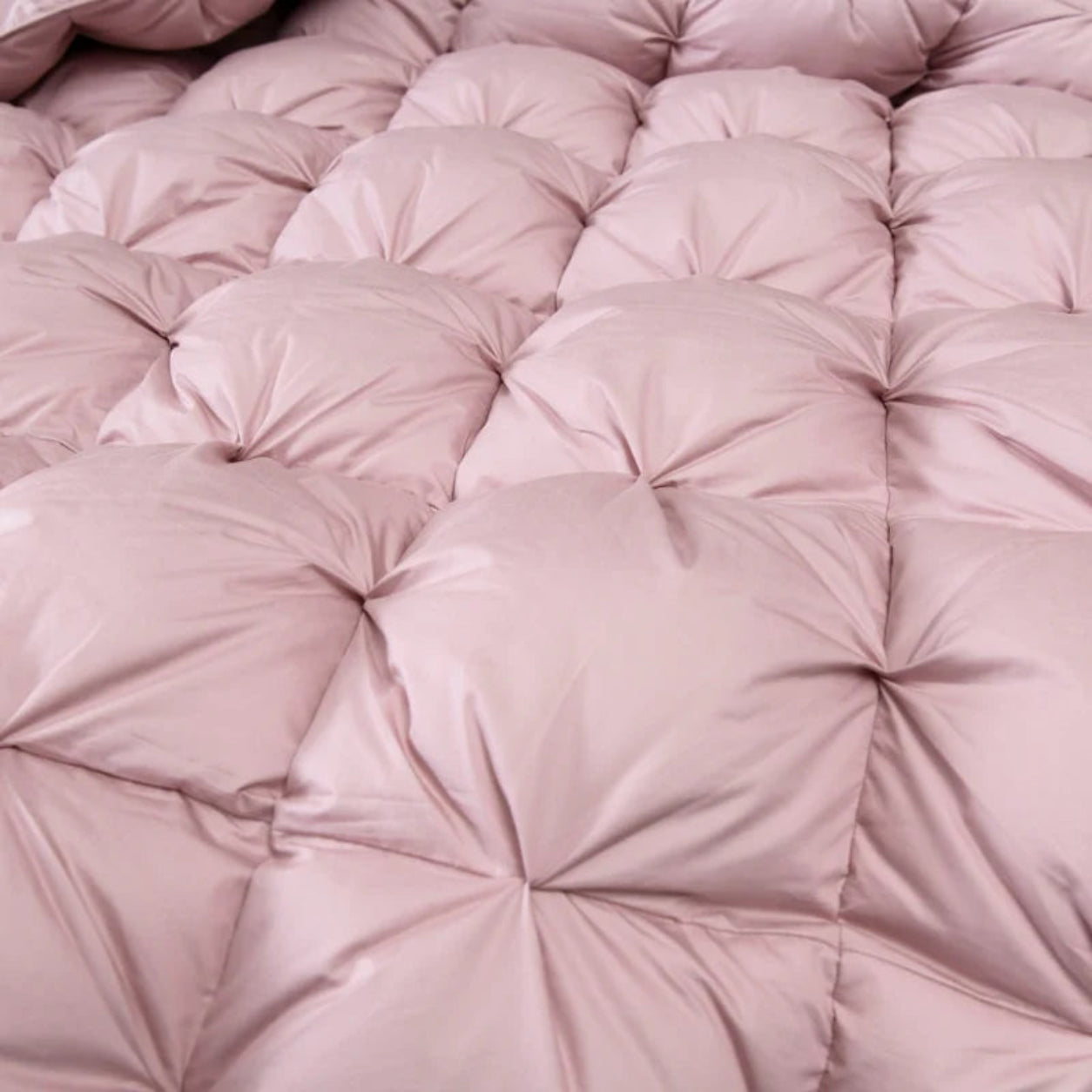 Goose Down Cotton Comforter