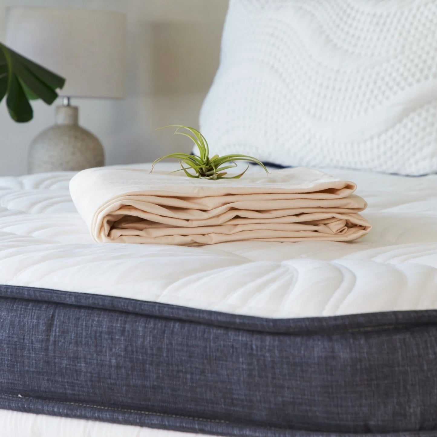 Organic Waterproof Mattress Protector